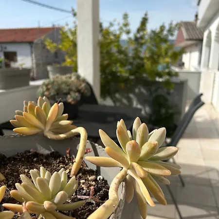 Grgić Apartament Trogir